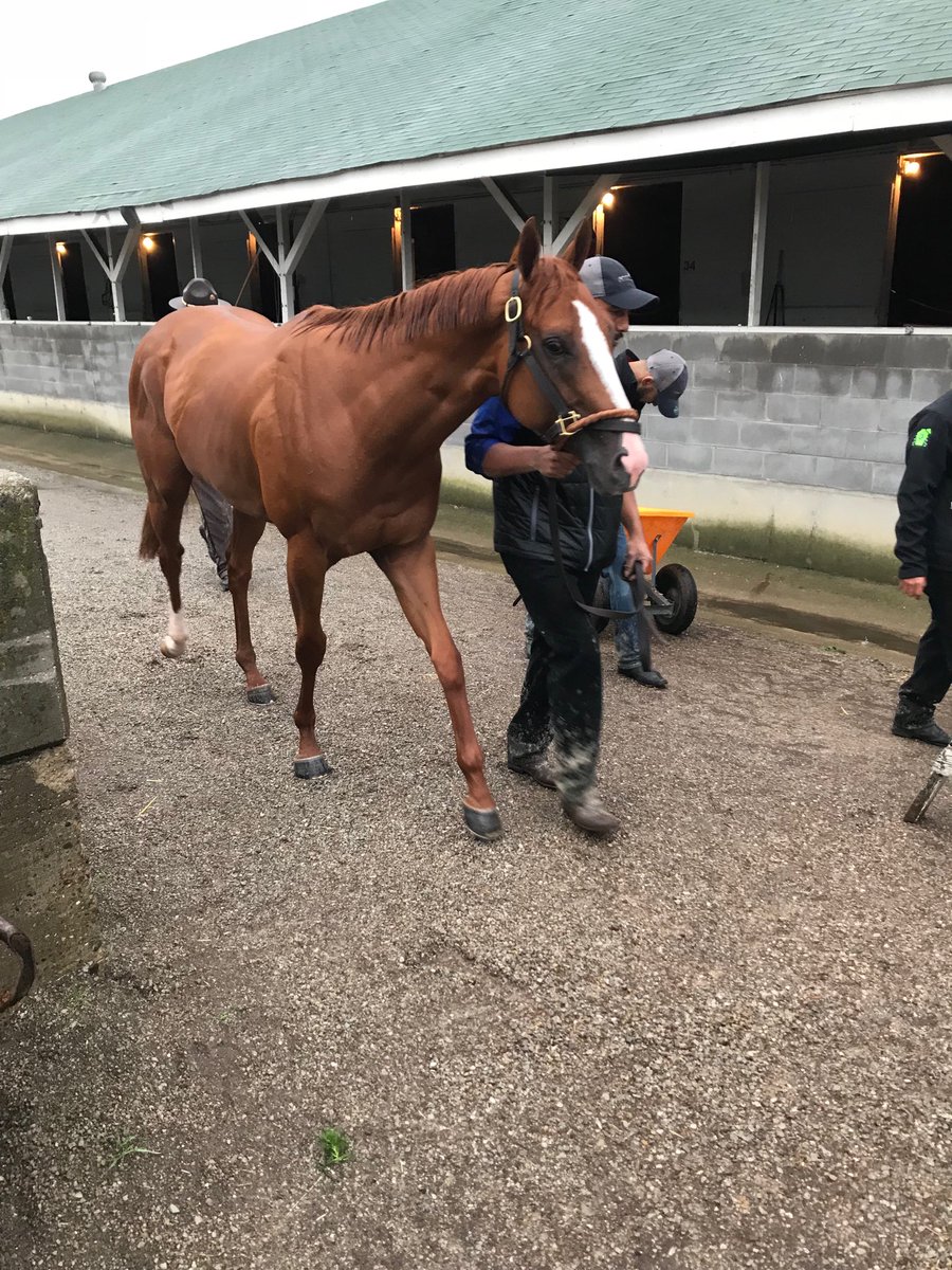Byron King (@bh_bking) on Twitter photo Good Magic heading back to his barn after his runner up finish in the #kyderby Good Magic heading back to his barn after his runner up finish in the #kyderby