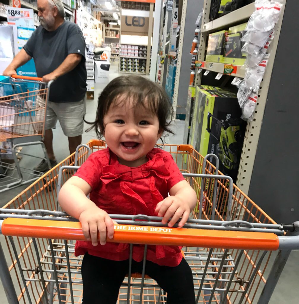 LadyMercer85's tweet photo. We have hundreds of adorable books and toys, and this girl loves trips to Home Depot more than anything. Days with Nana are apparently where it’s at 🤷🏻‍♀️⚒ #futurecontractor #beatricethebuilder #babyspam https://t.co/TEAIVqquGN
