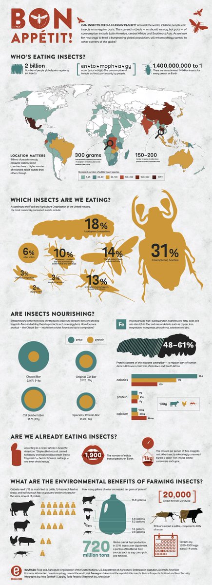 Love this infographic by @ensiamedia 
#ZeroHunger #BugsEndHunger #SustainableNutrition #ClimateSmartAg