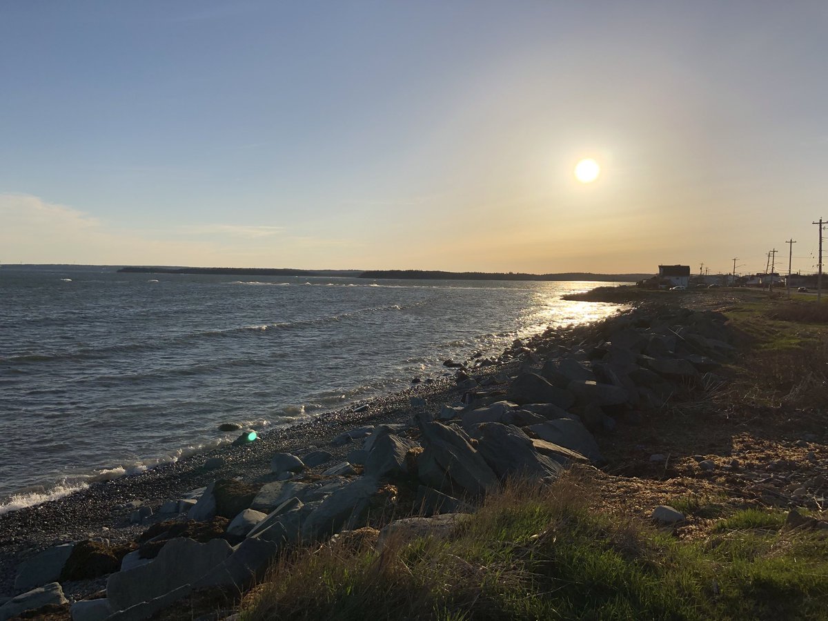KatieWhite426's tweet photo. Thoroughly enjoyed my time at the Canadian Assessment for Learning Network annual gathering. Next year we are in Delta, BC. In the meantime, I am basking in the glow of Halifax. Join us next year fellow Canadians! #cafln18 https://t.co/zk8VfBsZNt