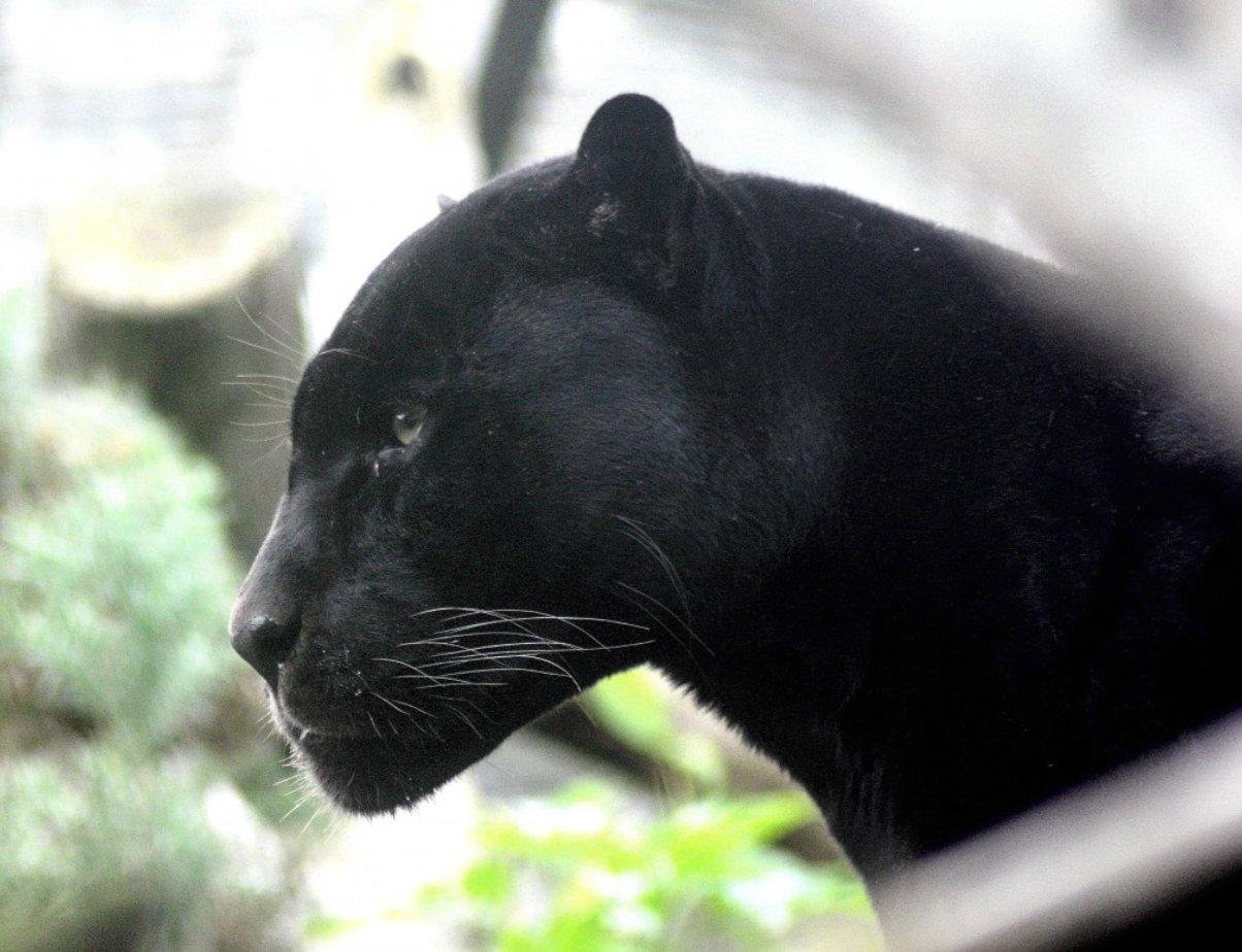 Na Twitteru Pogledajte Tweet Korisnika Ce Ake7853 Twitter