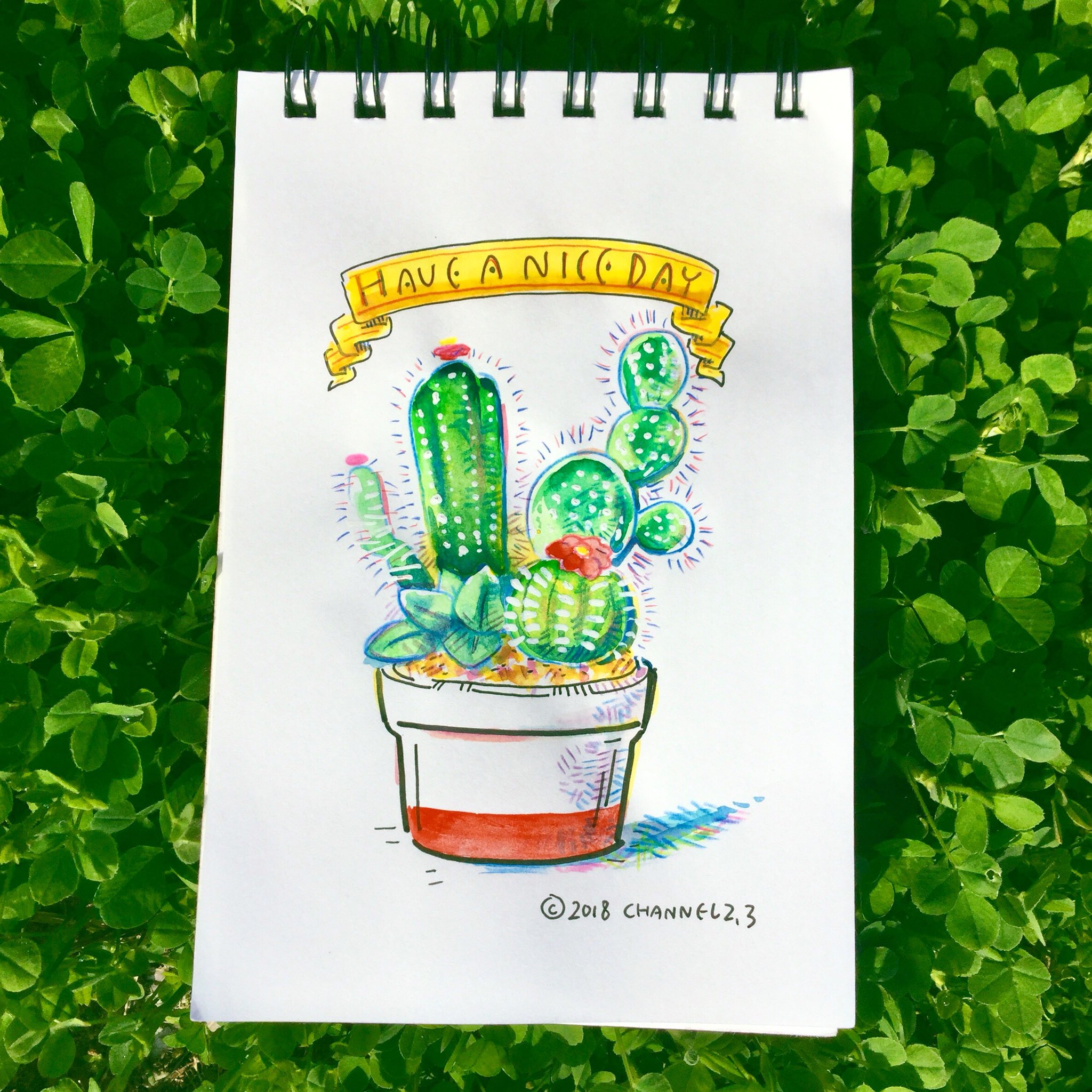 山崎たかし イラストレーター Twitter पर サボテン サボテン イラスト Illustration 挿絵 植物 T Co 9ewx84e4vz Twitter