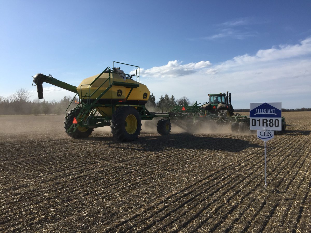 Neil Iverson tweet media