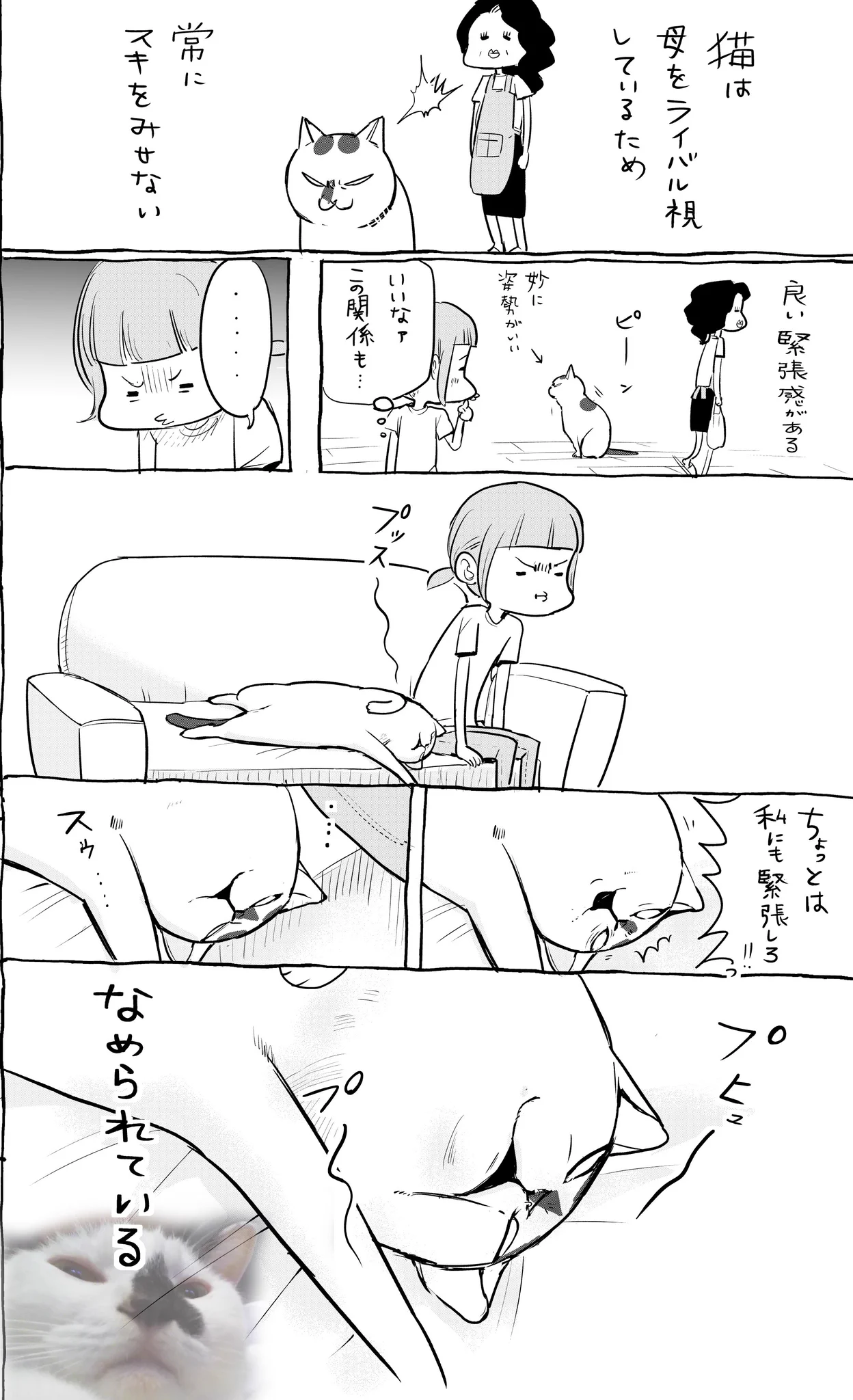 猫と犬の違いっておもしろい！！　それぞれの甘え方がめちゃくちゃカワイイｗｗ