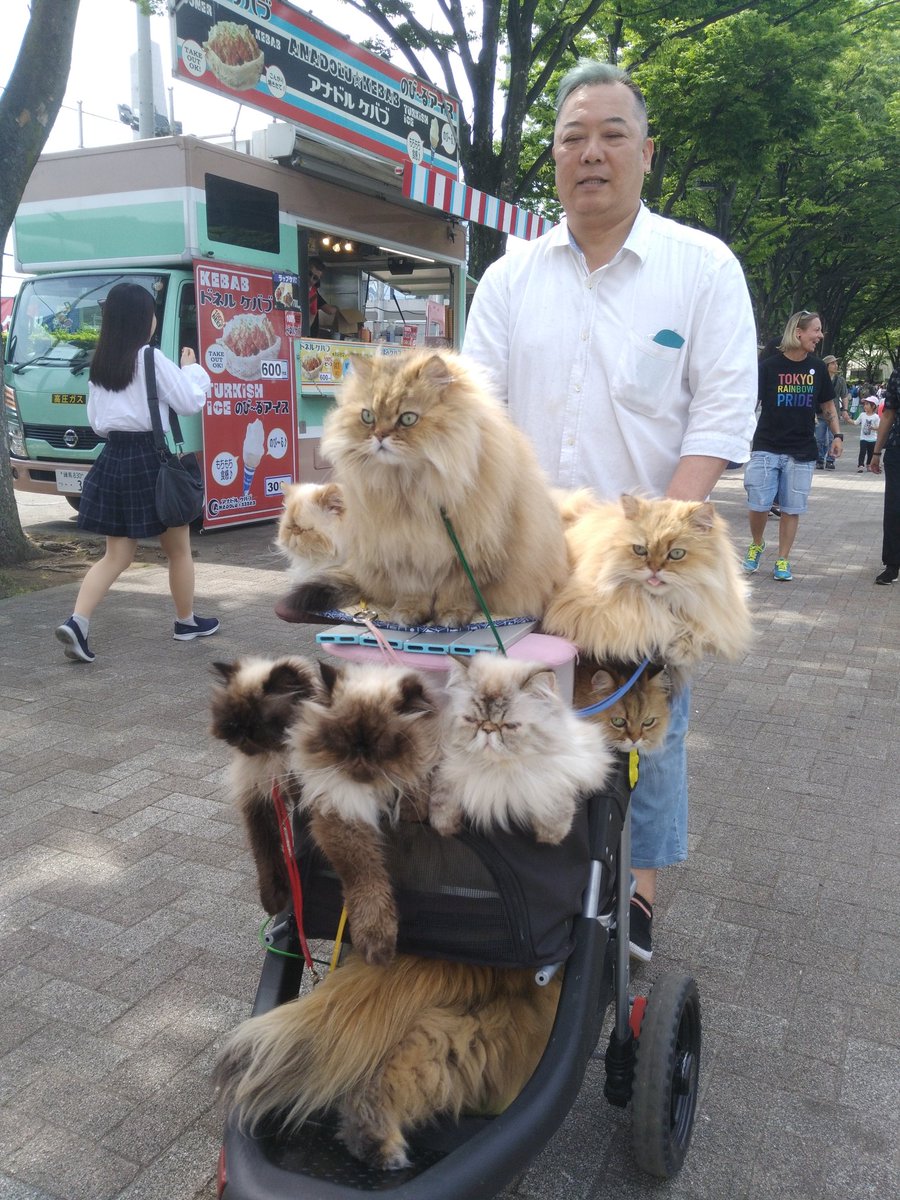 BuckJpProject's tweet photo. #tokyorainbowpride is not just for human being!! https://t.co/U7JqvkeQMj