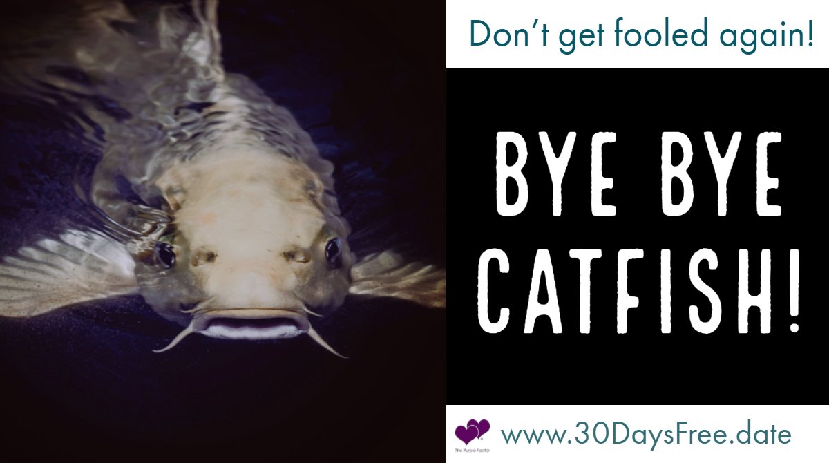 ThePurpleFactor's tweet photo. Try our new site and say good bye to getting "Catfished"! 30 DAYS FREE! Including Unlimited Video Chat! Sign up now! https://t.co/7Pm47jR86X https://t.co/roUApgDWEe