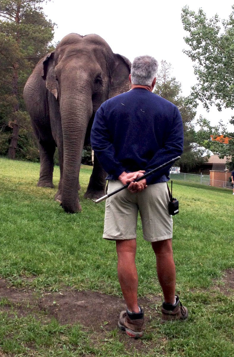 Friends_of_Lucy's tweet photo. With all due respect, @SPhillipsAB we dispute your Ministry’s findings &amp; would appreciate if you'd please clarify for LUCY's thousands of advocates in 🇨🇦and around the 🌍 how, specifically, your Ministry concluded Valley Zoo isn't violating the Wildlife Act or AB zoo standards. https://t.co/nMcdRIW4lB