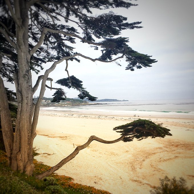 Beautiful final view from Carmel! 📷: Signe Fleischmann #egconf https://t.co/JiJuurPw6H<a href="/tag/egconf"class="tags"><span>#egconf</span></a>
