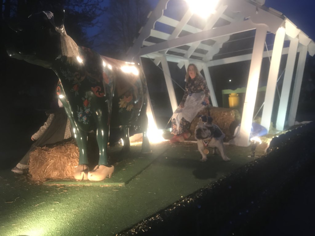 mbbbow's tweet photo. Drake’s Most Beautiful Bulldog is riding the Freisen cow float tonight at the Pella Tulip Time parade. #DrakeRelays #DrakeMostBeautifulBulldog #PellaTulipTime #DrakeUniversity https://t.co/IpcxBnovx8