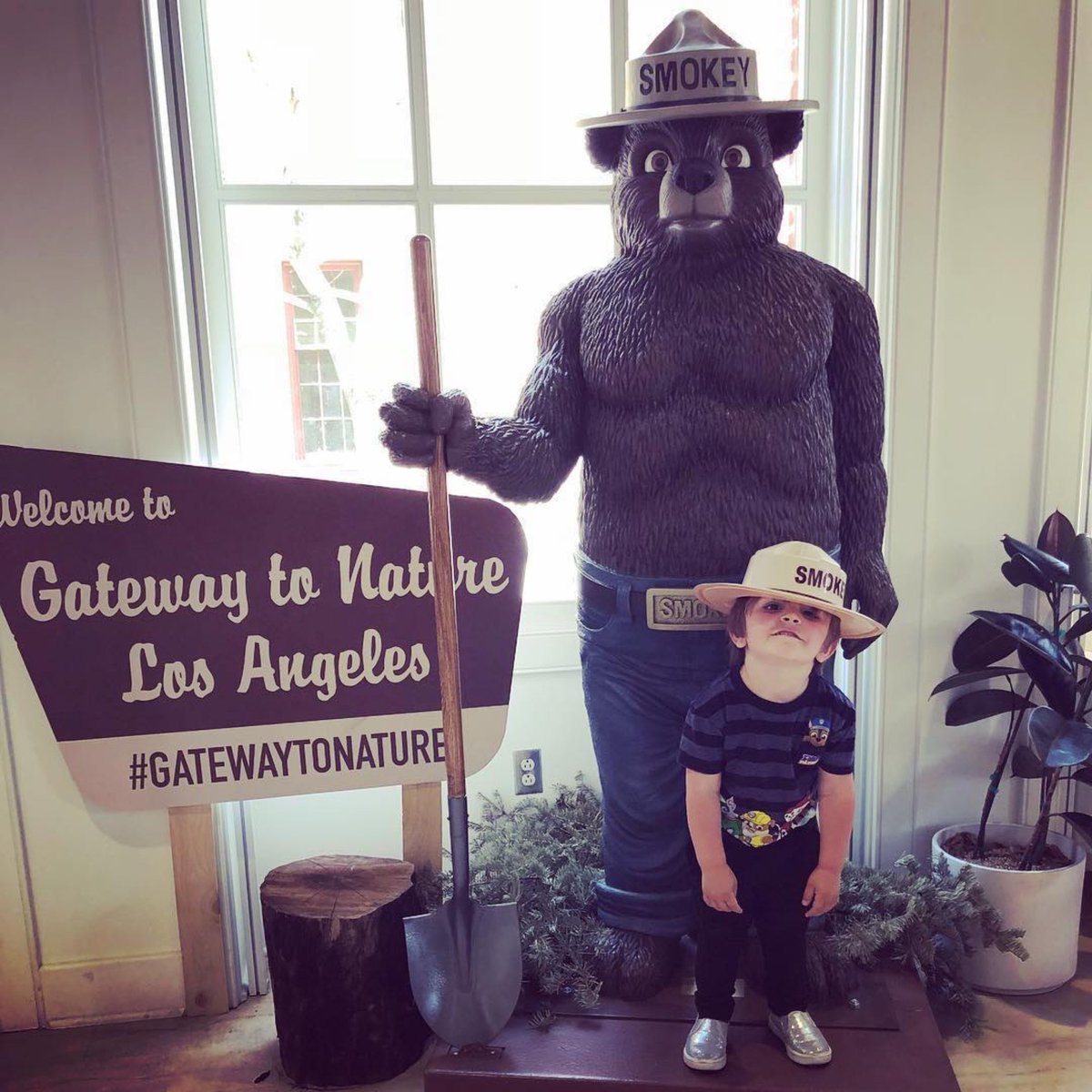 smokey_bear tweet picture