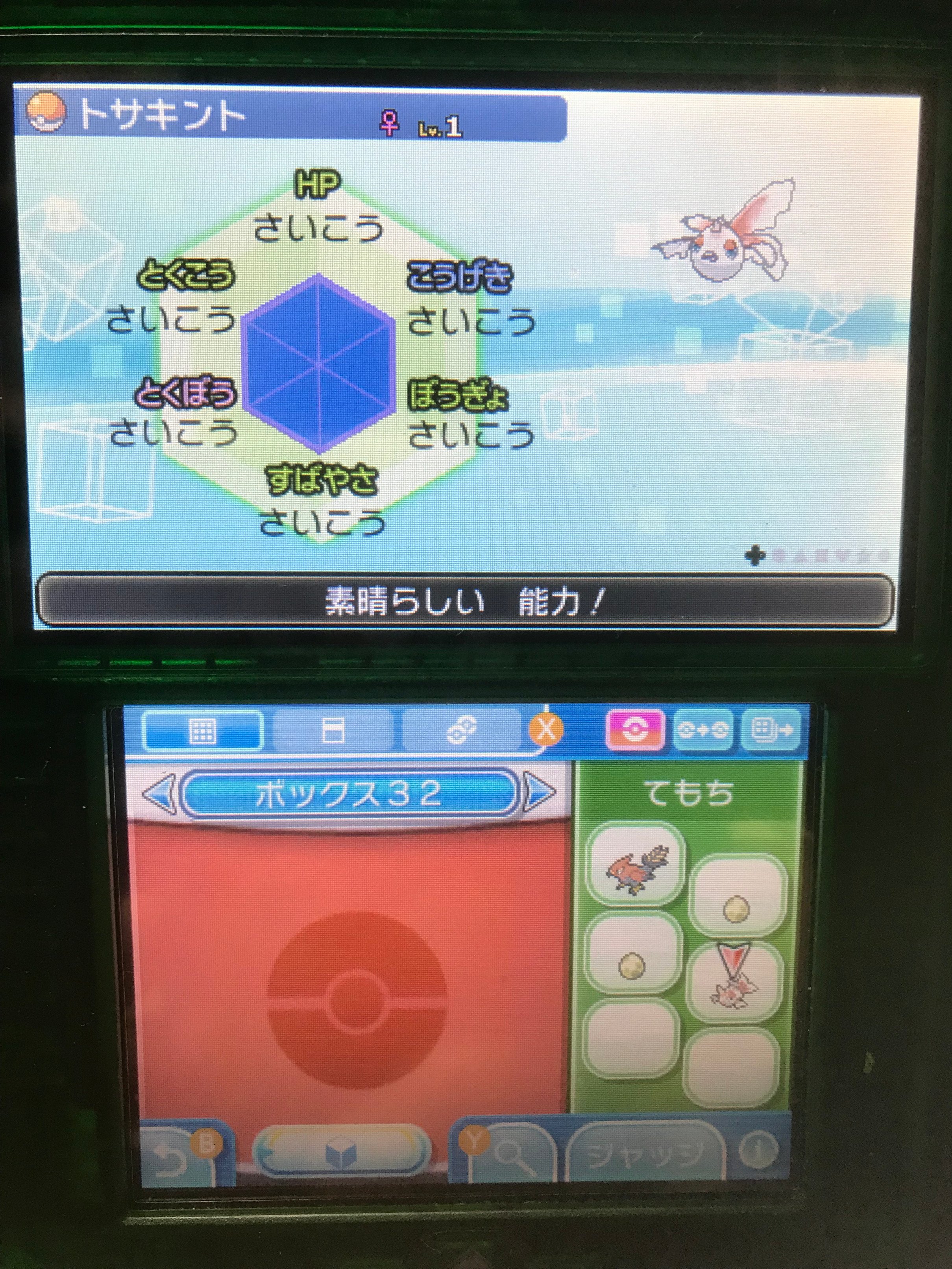 ポケモン6v記録 Twitter