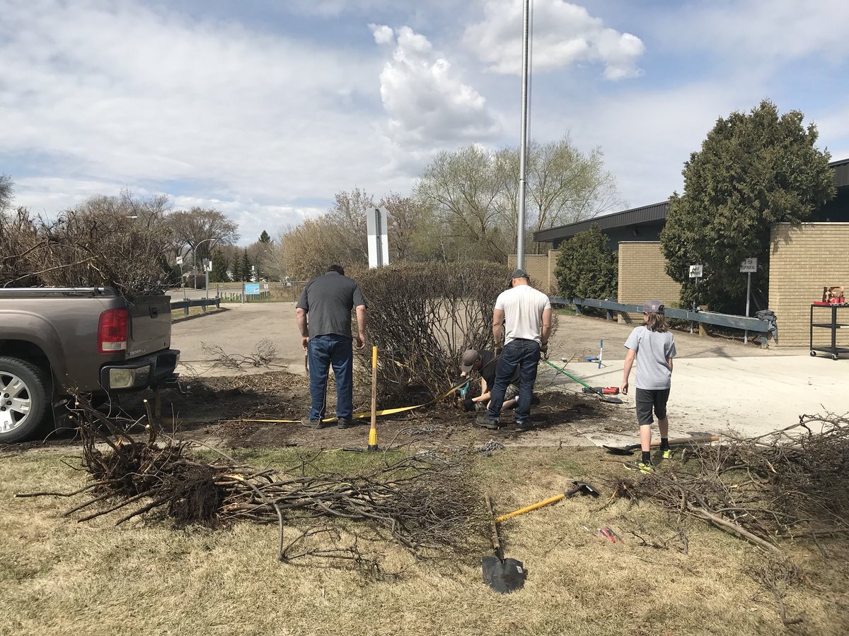 BrevoortPark's tweet photo. What a beautiful Saturday morning to begin clearing out the shrubs and get ready for our first vegetable garden!!  Looking forward to the learning opportunities for students and a fall harvest lunch. A HUGE thank-you to our incredible volunteers!! 💕 #spslearn #noroots https://t.co/GIKjWyb3ZT