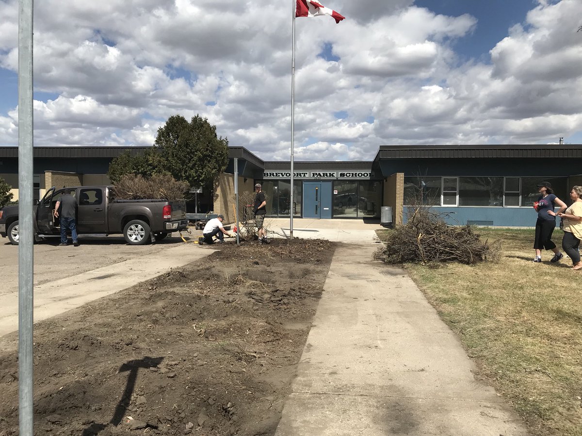 BrevoortPark's tweet photo. What a beautiful Saturday morning to begin clearing out the shrubs and get ready for our first vegetable garden!!  Looking forward to the learning opportunities for students and a fall harvest lunch. A HUGE thank-you to our incredible volunteers!! 💕 #spslearn #noroots https://t.co/GIKjWyb3ZT