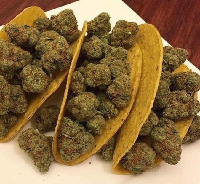 Who says Cinco de Mayo is just for margaritas?! 😚💨💨💨

Happy #CannaDeMayo everybuddy! 🌮 🌳 🔥👌

#DrinkoDeMayo #weed #celebrate #smokegood #cannabis #herb #tacos #CincoDeMayoWeekend #choosecannabis #buddyjane 💚
