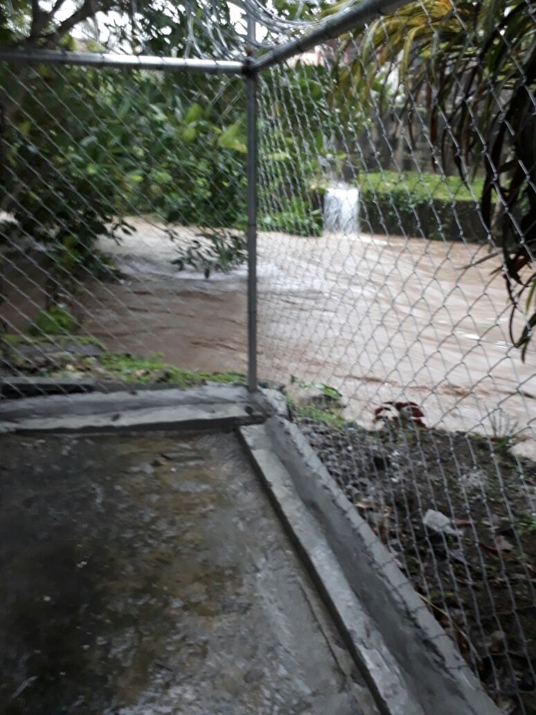 LindaVistaCalleJ tweet media