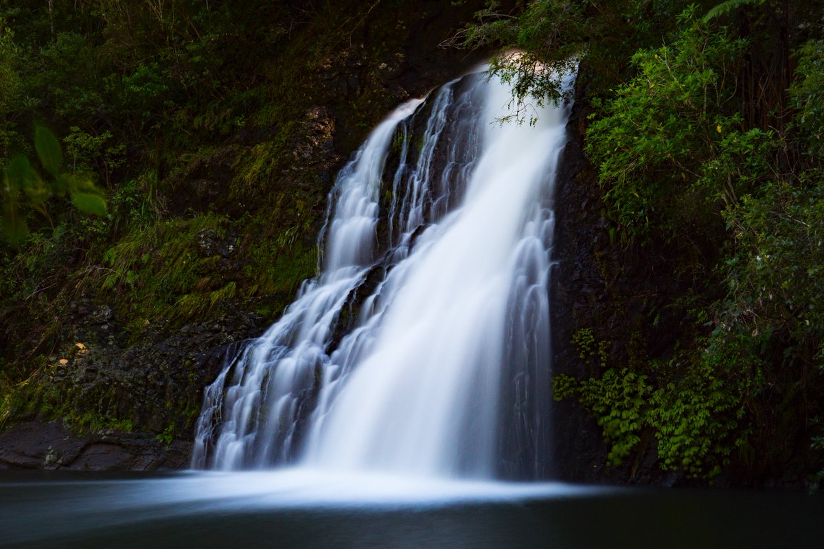 New YouTube video uploaded! This one is a little different to my normal videos :)
Panasonic Lumix G9 and the Upper Nihotupu Waterfall New Zealand.

youtube.com/watch?v=LY0YI1….   <a href="/LandRover/">Land Rover Discovery</a>USA @LandRover <a href="/LumixUSA/">LUMIX Cameras USA</a> <a href="/LumixUK/">Lumix UK</a> <a href="/newzealand/">The Sword of the LORD, and of Gideon</a>