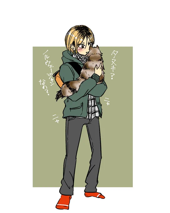 ハイキュー×ねこ 