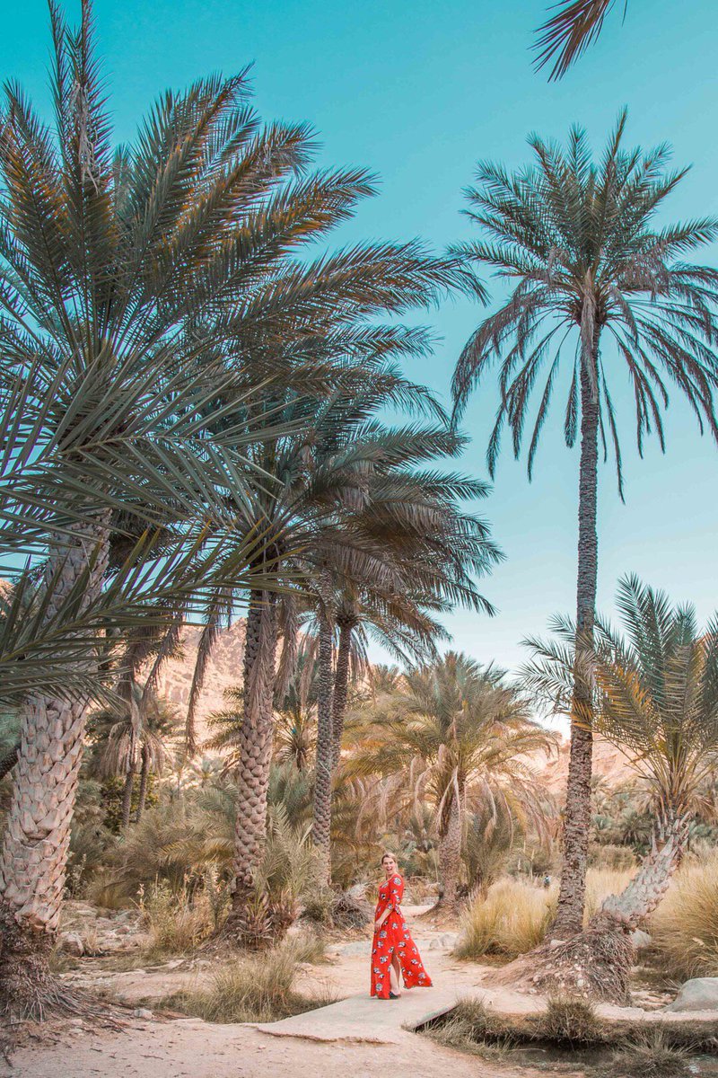 bordersandlife's tweet photo. Oman is one of the most surprising and amazing countries! Have you ever been? #experienceoman https://t.co/Te636SdHFu