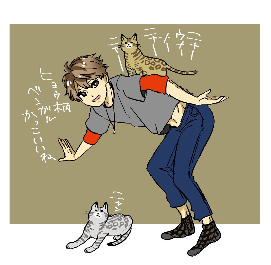 ハイキュー×ねこ 
