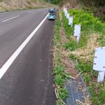 山菜採りはシニアを覚醒させる!？普段シニアカー使いなのにここ歩くの!