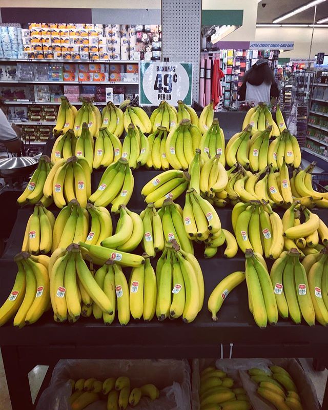dollarstorevegn's tweet photo. I cannot get over how amazing 🍌 from 99 are! just look at 'em! ❤️🤓 Amos
.
.
.
.
.
#govegan #99centsonlystore #vegan #whatveganseat #vegansofig #veganAF #veganbargains #savetheplanet #99community #easyvegan #comidavegana #veganlife #animalrights #99ce… https://t.co/gDn2yky0qH https://t.co/7WWAldnjdl