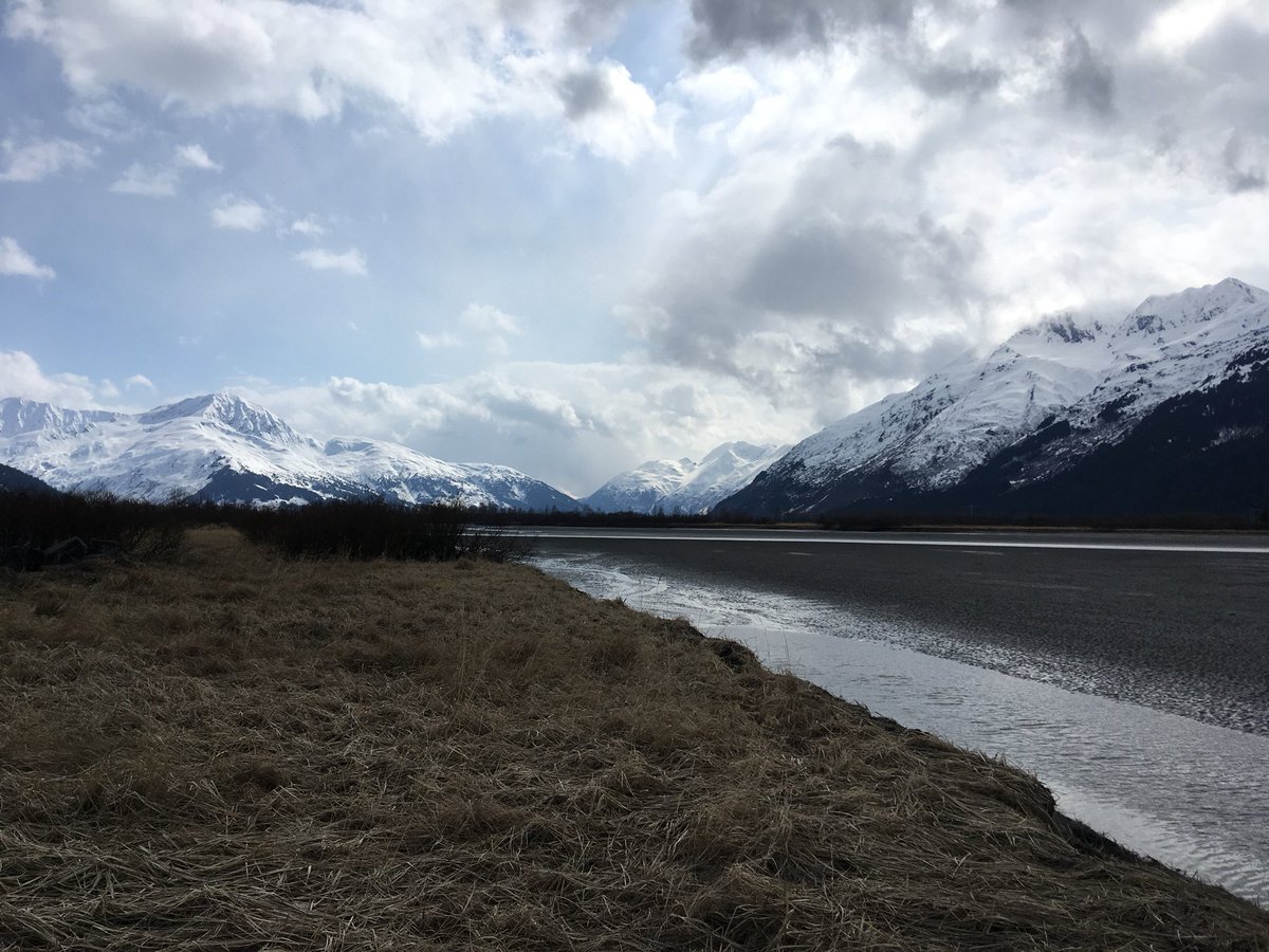 🌊🐬♡ tweet media