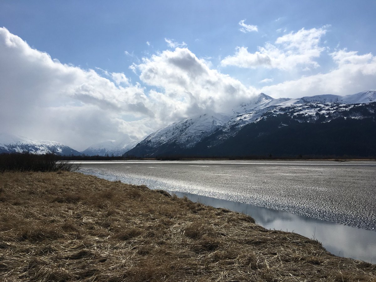 🌊🐬♡ tweet media