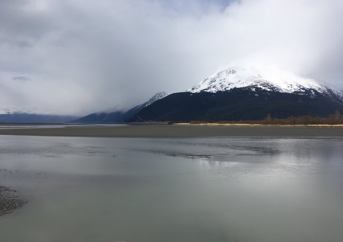 🌊🐬♡ tweet media