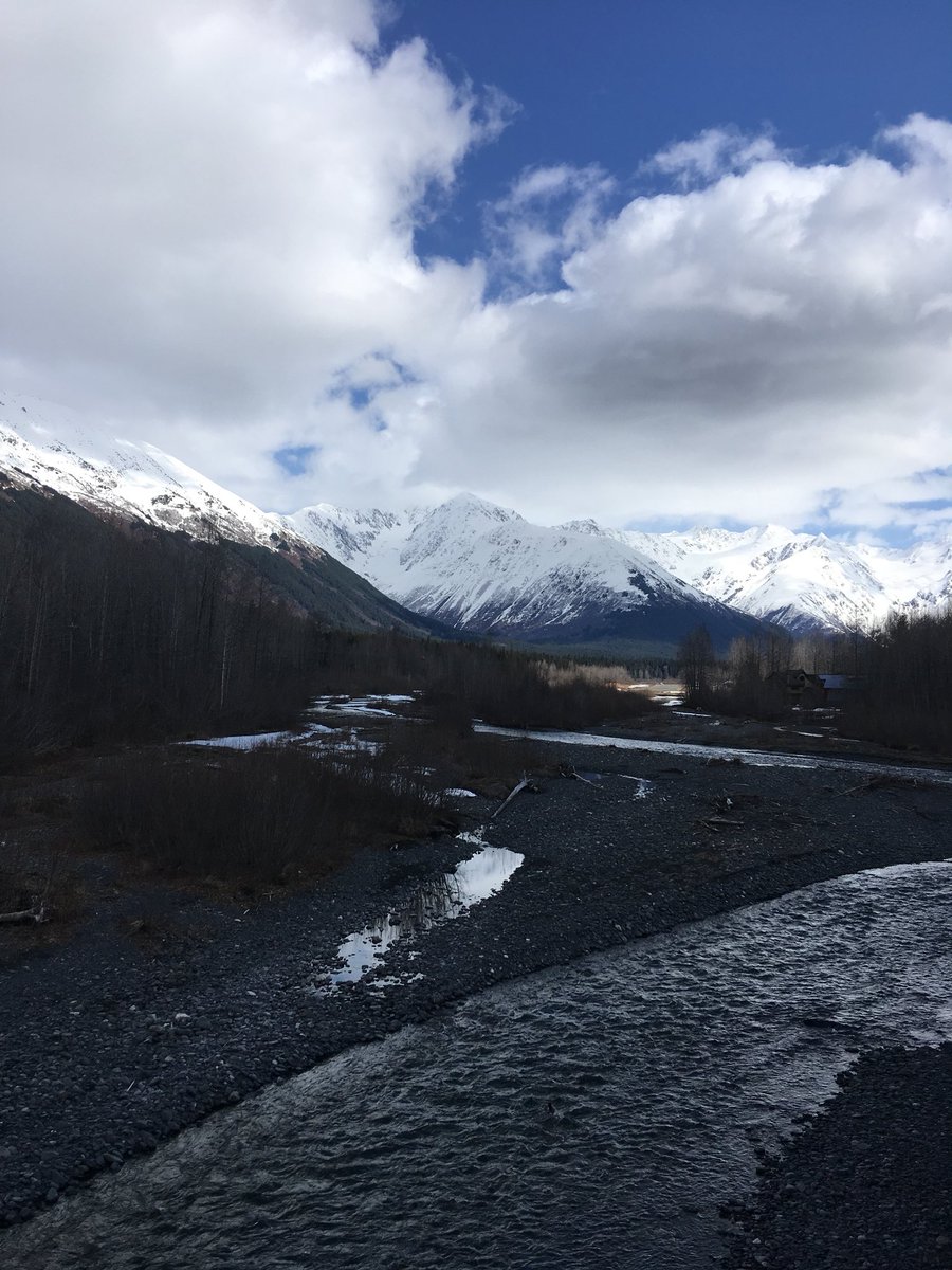 🌊🐬♡ tweet media