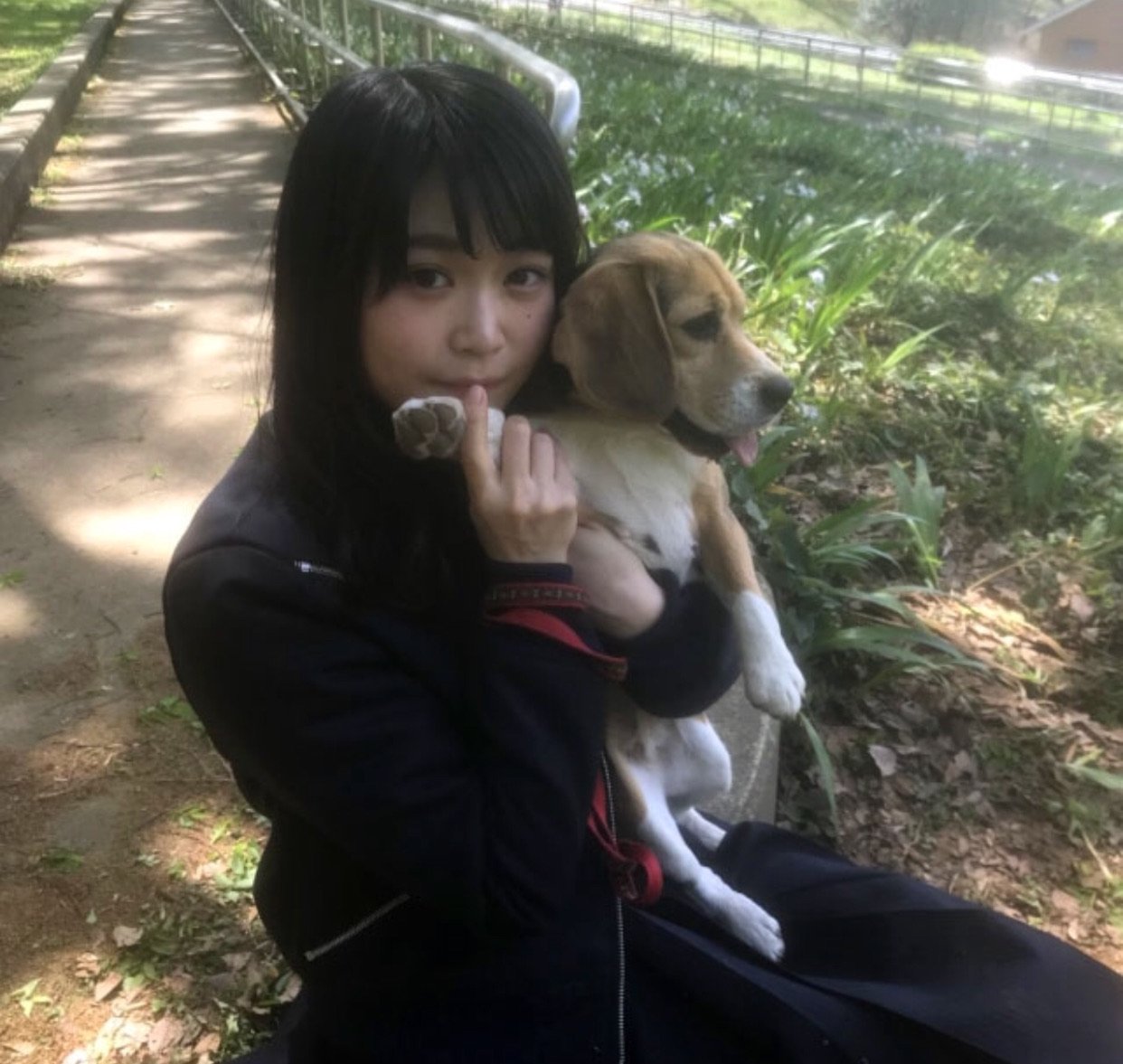 Dogheartfromアクアマリン Twitter Search Twitter