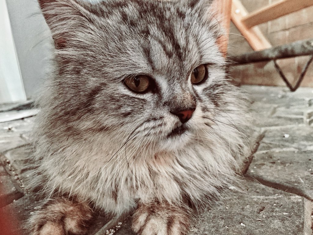 SaraYasser74's tweet photo. #mobilephotography  
By me w keda y3ni 🙄 https://t.co/TUgHuk5c3B