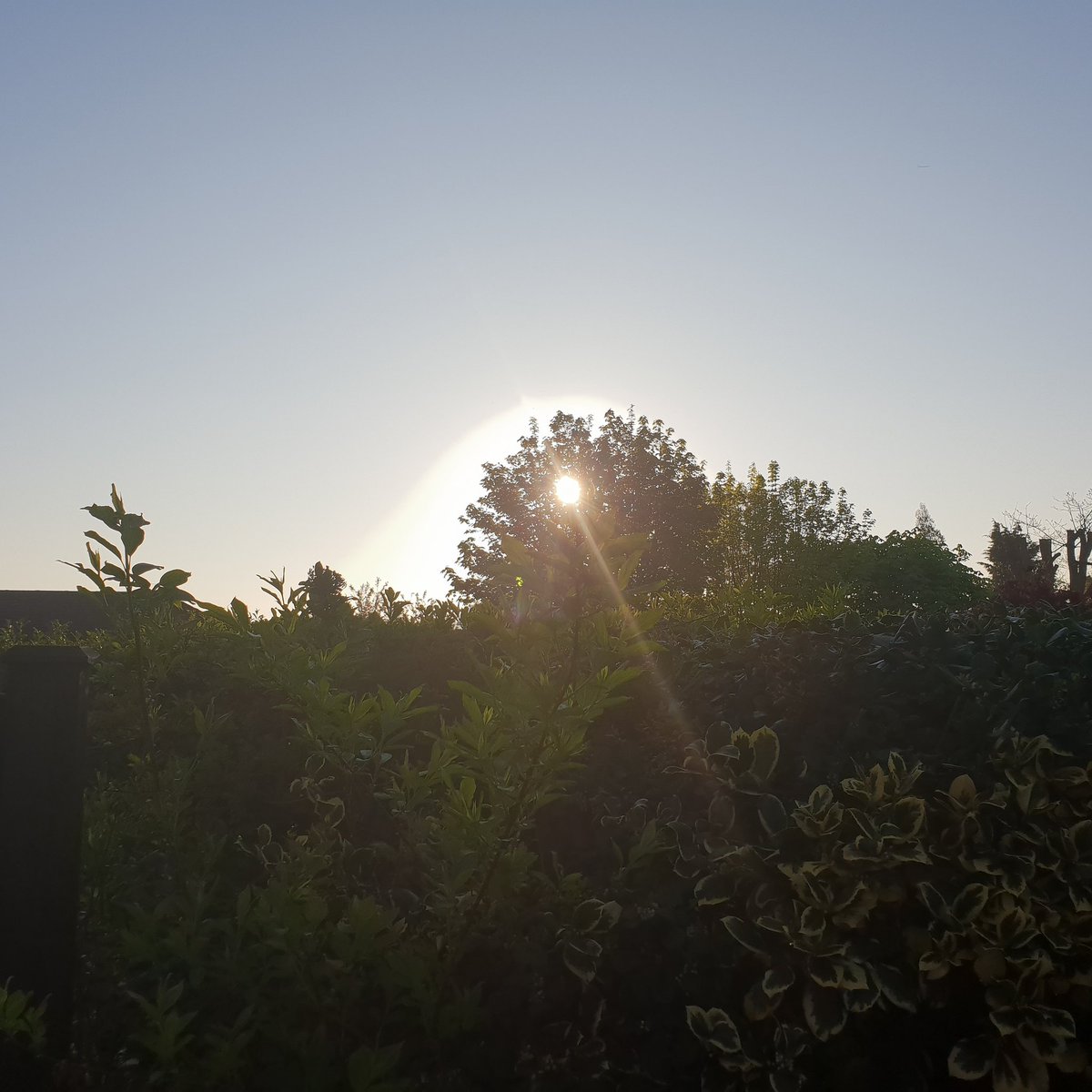 VEGESENTIALS's tweet photo. A new day, another chance to add to the story of life. Grab that #GoodGutFeeling @Tesco @wholefoodsuk @planetorganic #gutmicrobiota #guthealth #weightwatchers https://t.co/8xLxsDl80o
