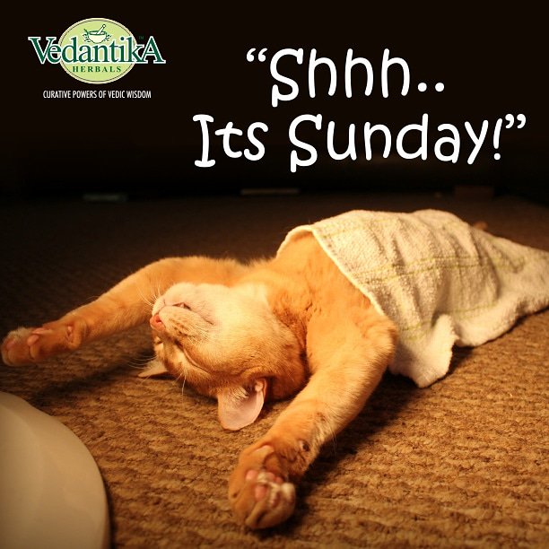 VedantikaH's tweet photo. Tag your friends who are busy on Sunday 😁 

 ⠀⠀ ⠀⠀⠀     ⠀⠀ ⠀⠀⠀     ⠀⠀ ⠀⠀⠀     ⠀⠀ ⠀⠀⠀     ⠀⠀ ⠀⠀⠀     ⠀⠀ ⠀⠀⠀     #sundayvibes #sundayquotes #vedantikaherbals #sundayrelax #relaxmodeon #relax #weekendvibes #weekend https://t.co/8JNYLlHTvH