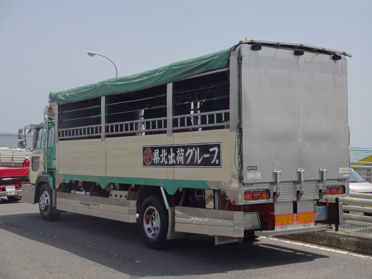 ビッグサム 旧型 先程のドルフィンを拡大写真で まずは家畜運搬車 ベコ車 の県北出荷グループさん 水戸友好には毎年登場している常連車