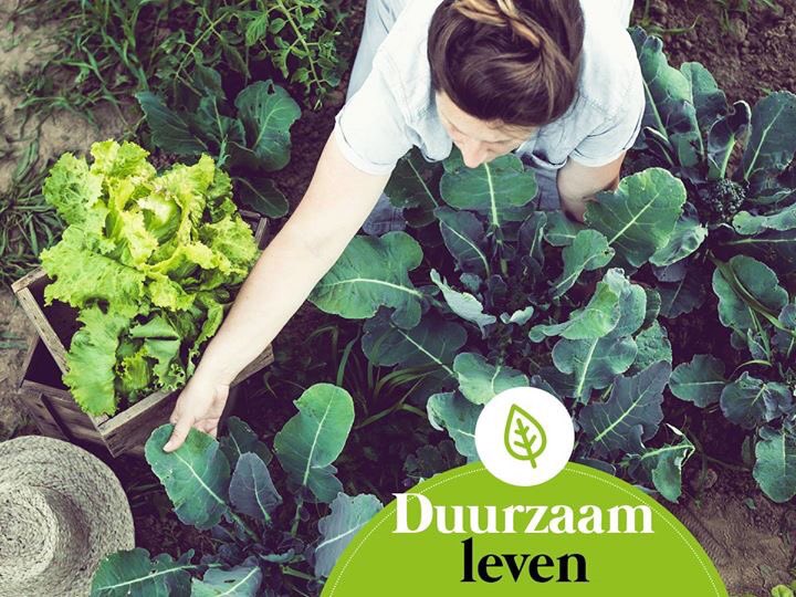 Duurzaam leven kan heel simpel zijn! Zonder alle problemen van de wereld op je schouders te nemen, kun je wel de verantwoordelijkheid nemen voor je eigen bijdrage met een Woningabonnement van WOAB.nl!