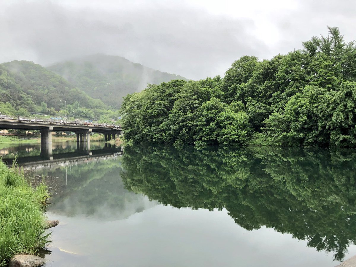 물에 비치는 풍경이 이렇게 선명한 것은 처음 보는지라 신기해서 한참 보고 있으니 기분이 좋아졌다 카메라 못 들고 온 게 아쉽다