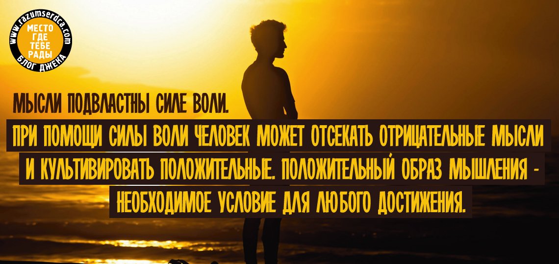 Евгений Добров tweet media