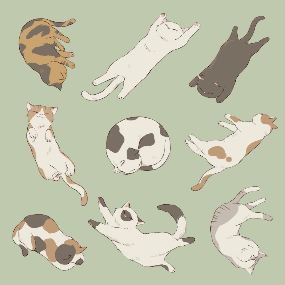 Котики в разных позах