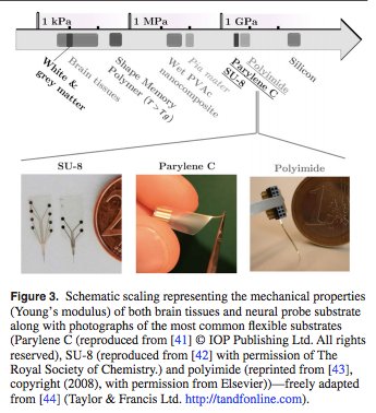 Matching implant mechanical characteristics to the target tissue is essential to creating a stable bioelectronic interface - materials science approaches offer a lot of promise in making long-term neural implants clinically viable

buff.ly/2KzSuZj