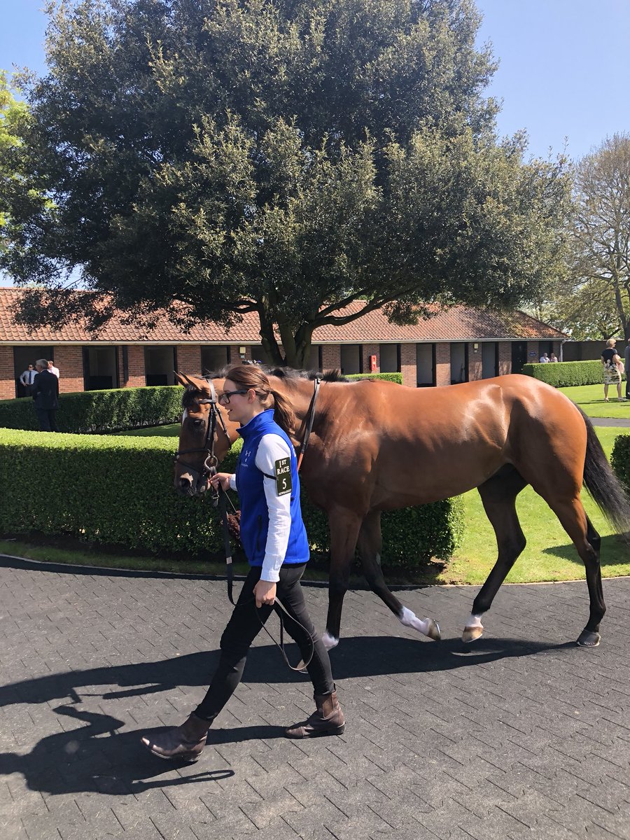 godolphin's tweet photo. #WolfCountry, #Alqamar and #CelestialSpheres step out for #TeamGodolphin in the opener on #1000Guineas Day 🙌 https://t.co/PrSjKRolSK
