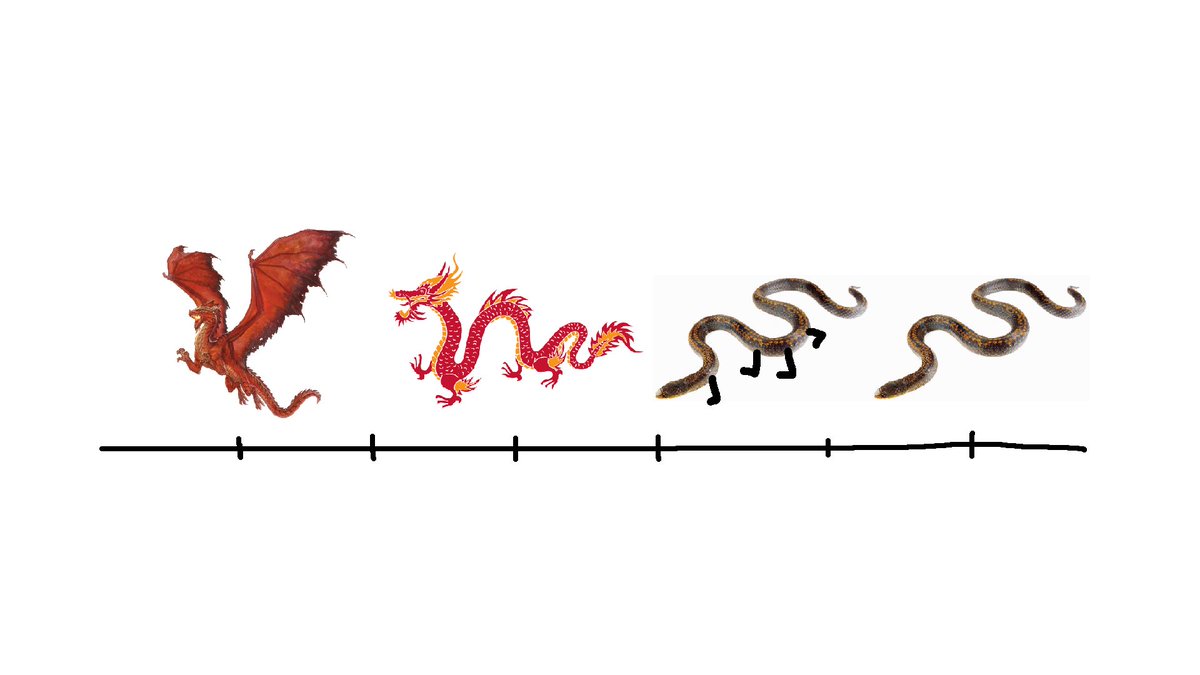 zerstoerer's tweet image. my friend has a phobia of snakes but is totally okay with dragons so i had to figure out where exactly on the scale the problem begins