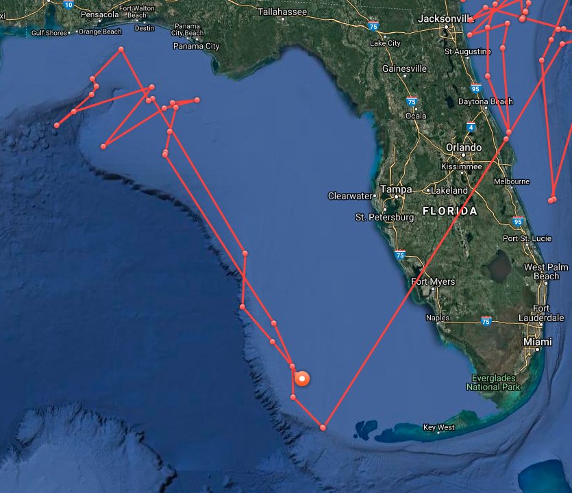 carsoncooper's tweet image. Two great white sharks enjoy a Florida getaway!  

wfla.com/news/local-new…

@OCEARCH 
@WFLA