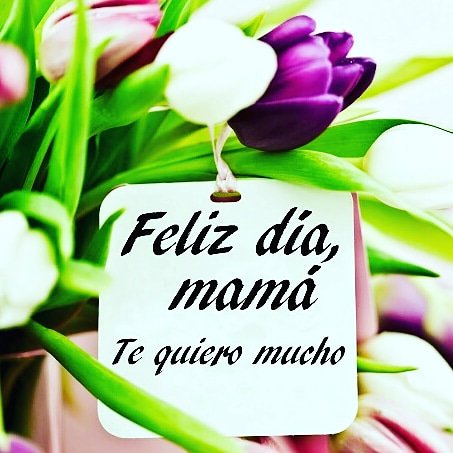 Bella (@inma37410941) on Twitter photo 