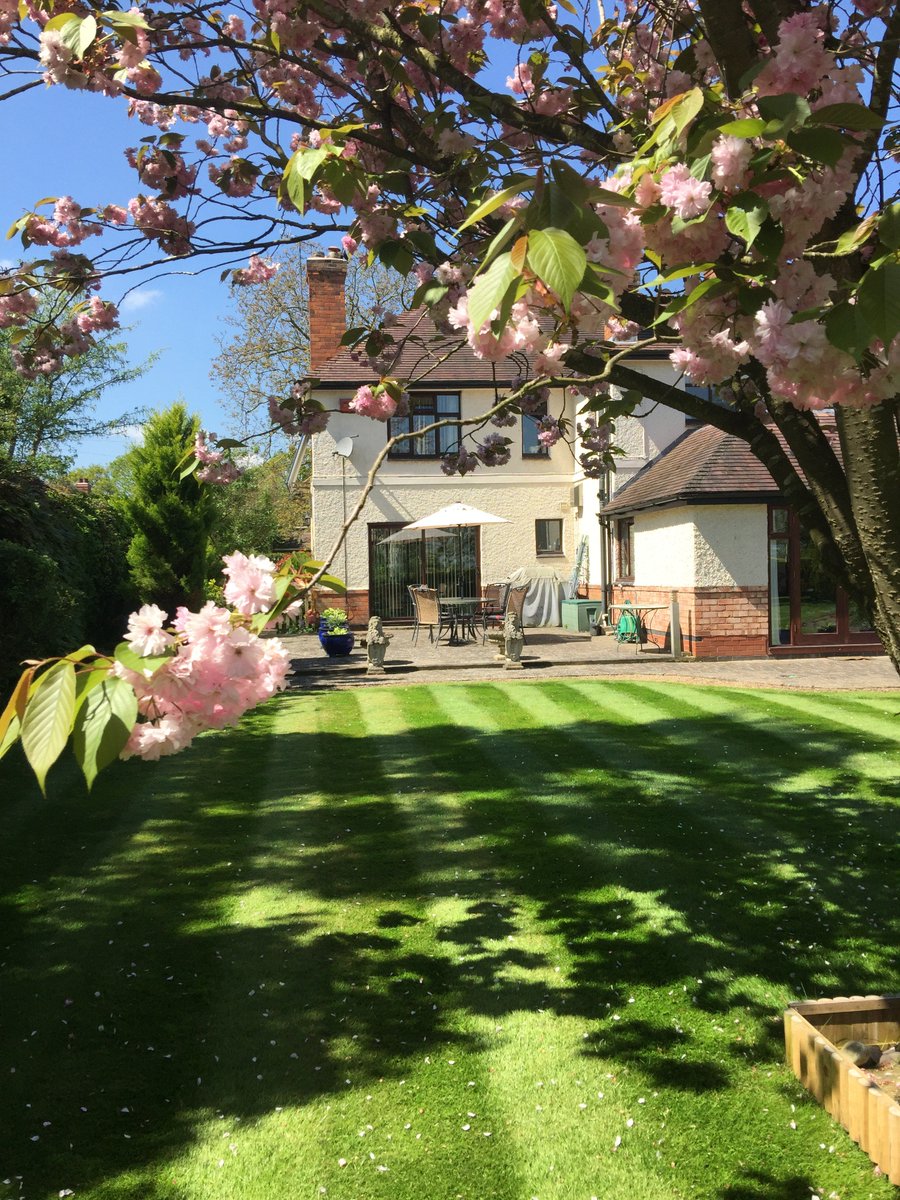 orchardsidehs's tweet photo. All ready for #hanleyswanopengardens this weekend. Come along today and Monday and enjoy some very different gardens to inspire. https://t.co/o3Wde1c07u