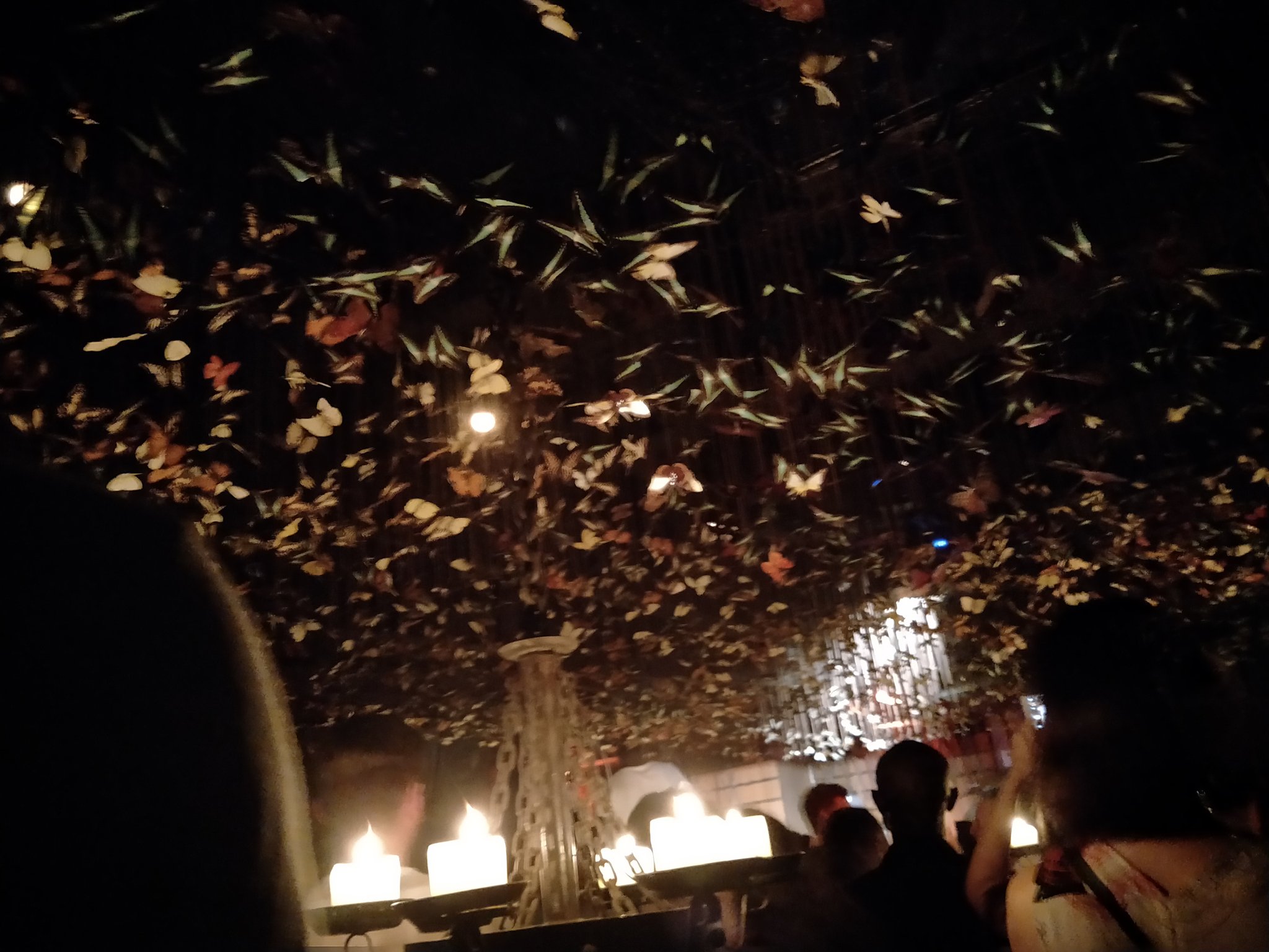 兰桂坊 Twitter Search Twitter