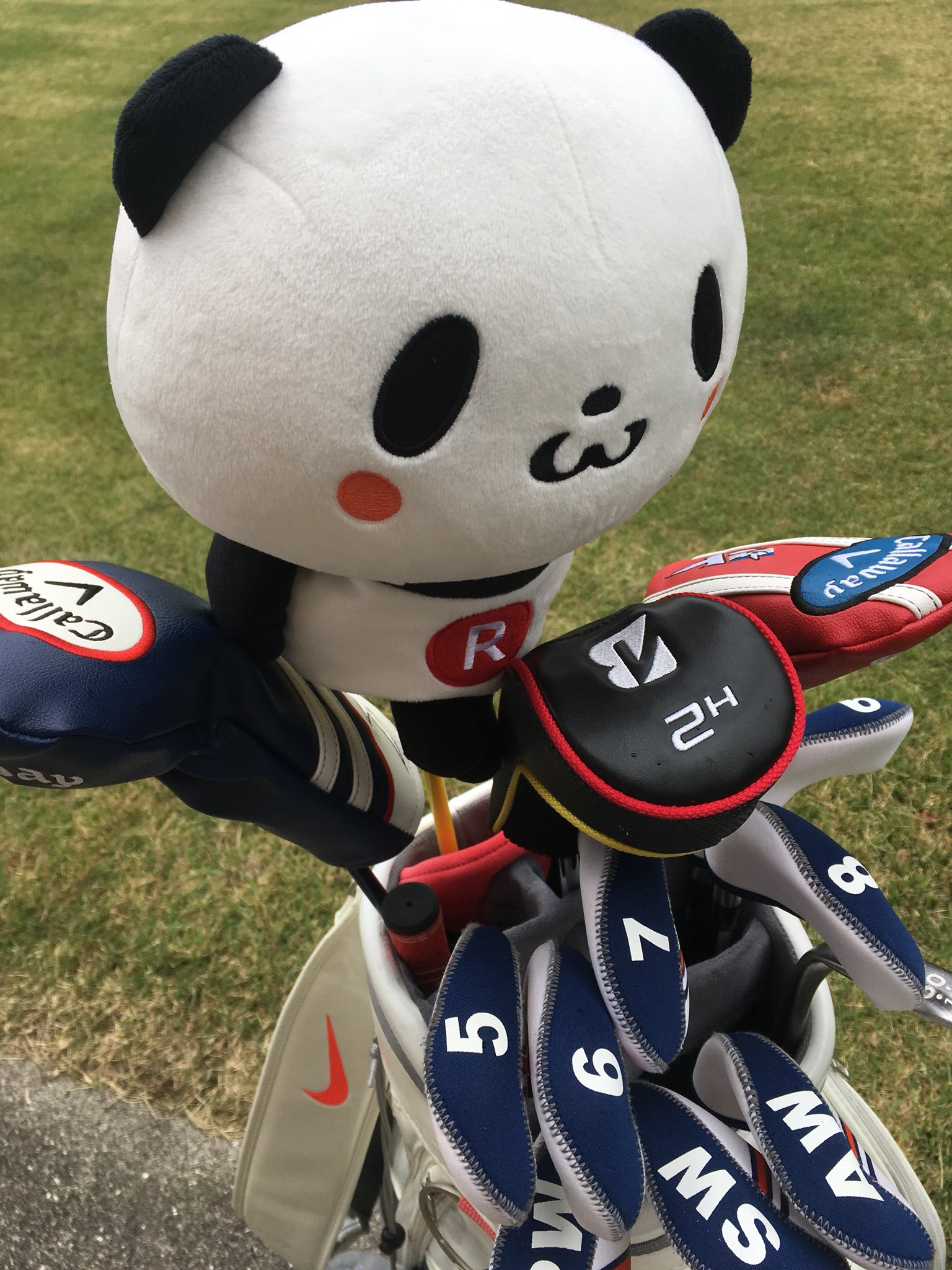 楽天パンダ お買いものパンダ ゴルフ ヘッドカバー 新品未使用