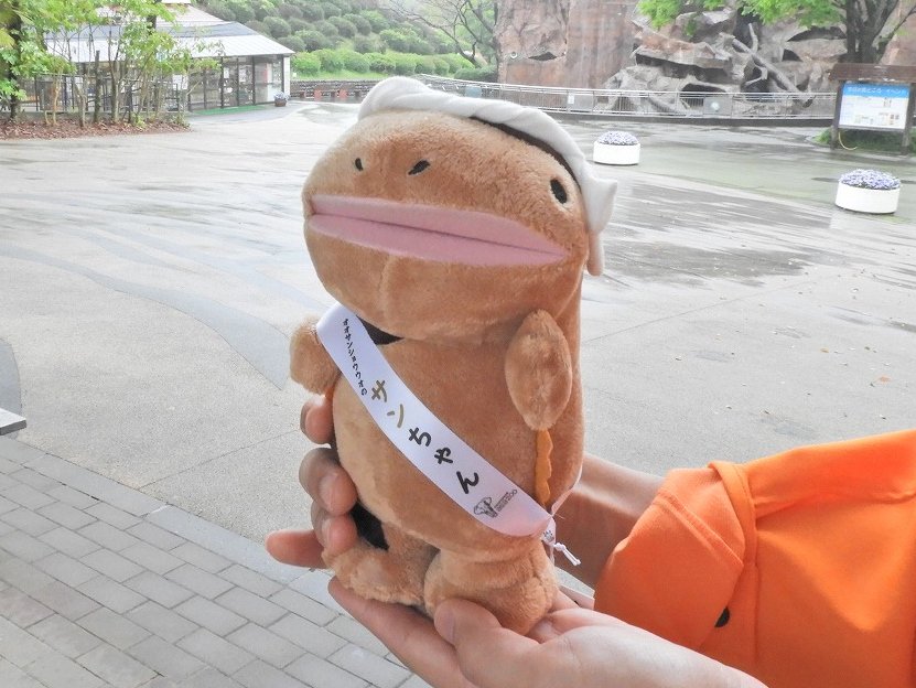 DcgFlHpVAAA_CwM.jpg?format=jpg