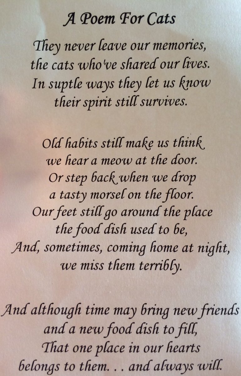 <a href="/BLucky23/">Lucky</a> We are so sorry to see this news. What a beautiful boy. Run free sweetheart. You will be the brightest star and a wonderful Angel. 
#tillwemeetagain #GoneButNeverForgotten