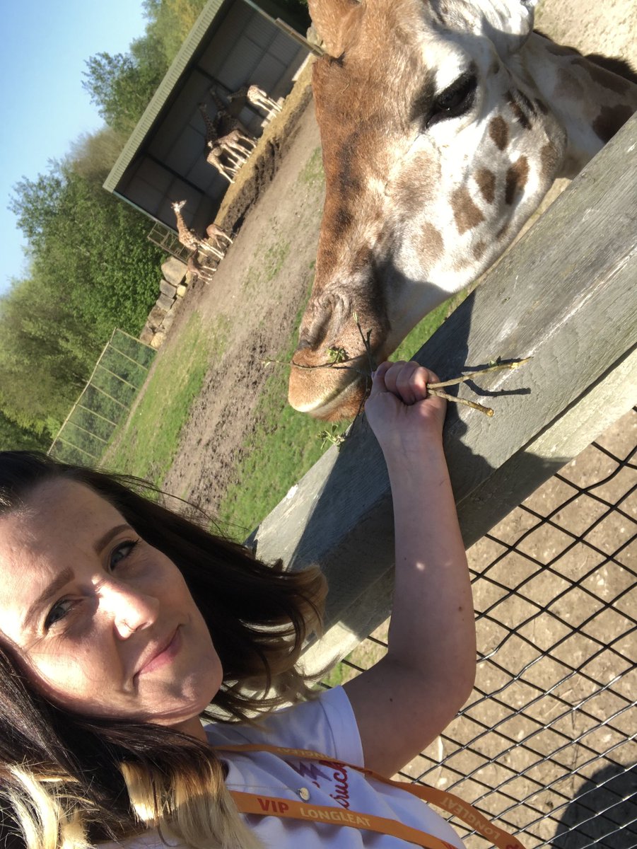 shinydiscoball2's tweet photo. @Longleat Thank you so much to Lee and Tina for the amazing VIP giraffe experience this morning, what a treat! https://t.co/Gh0o8bJUea