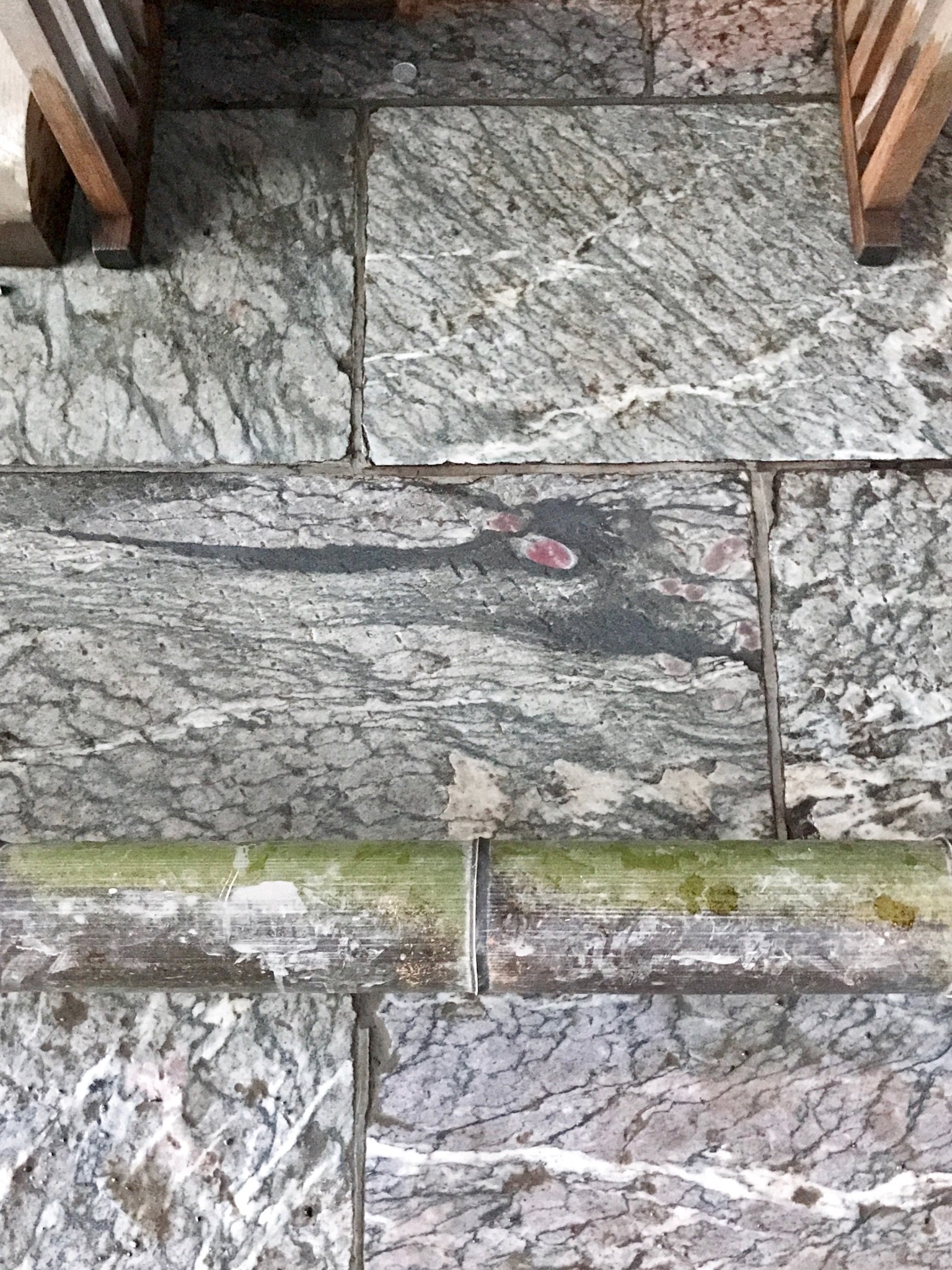 Amika 三峯神社にある 石畳に水をかけると浮き出る赤い目の龍神様 携帯の待受にすると御利益があるのだとか 撮影して来たので皆さんにおすそ分け T Co Zch4p7eag2 Twitter